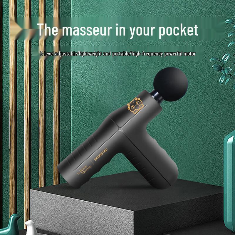 Sikasida Percussion Massager