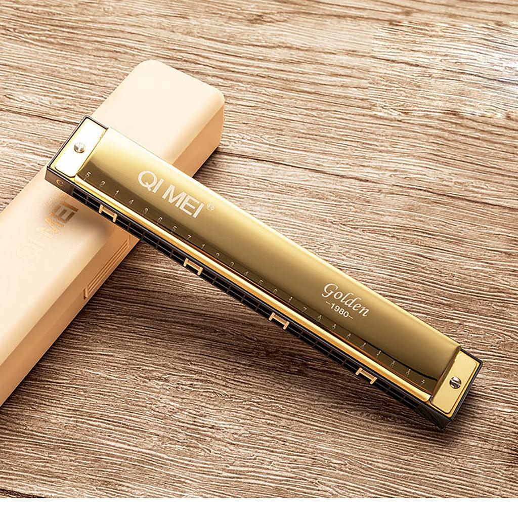 QIMEI Blues 28 Stainless C Set Case for Beginners and Advanced Players 24 Harmonica, 10, 24, Holes, Steel, Key, Airtight, (Gold, Holes)