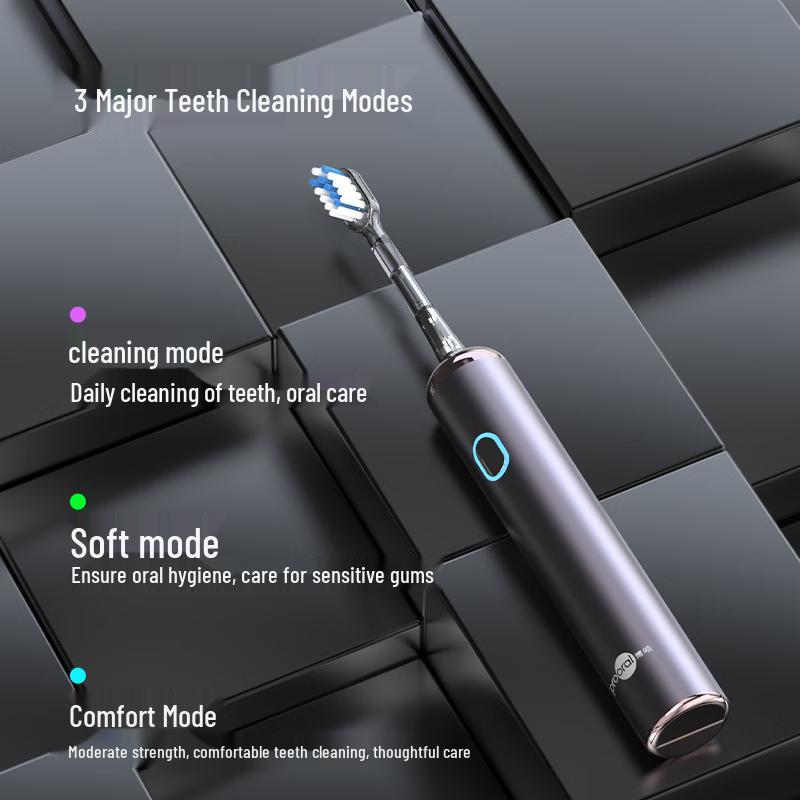 Bo Hao LS-1 Rechargeable Sonic Electric Toothbrush