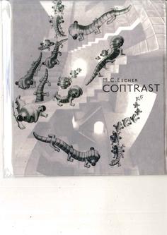 

DVD M.C.ESCHER - Contrast V0605559 CADCENTER Japan Movies & DVD Used