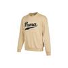 Sweatshirts Men's Beige Crew Neck Moderate Other 534383-20