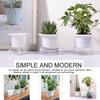 Automatic Water Absorbing Transparent Pot Creative Round Office Desktop Green Plant Hydroponic