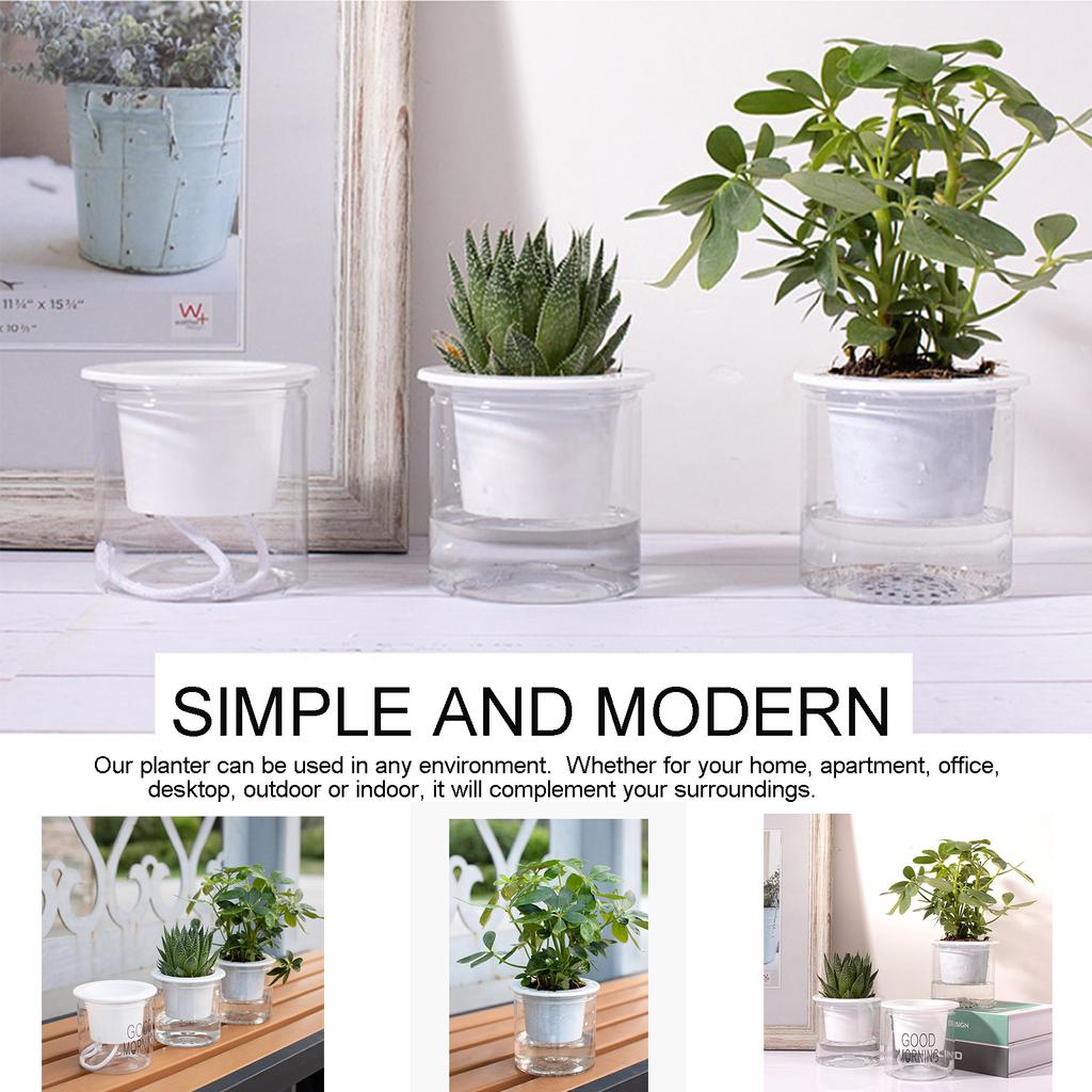 Automatic Water Absorbing Transparent Pot Creative Round Office Desktop Green Plant Hydroponic