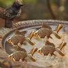 Natural Copper Fish Disks For Bird Baths Maintenance Algae Control Decorative Garden Ornaments