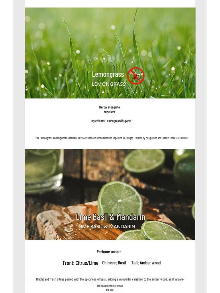 Coconut Shell Aromatherapy Candle with Essential Oil Incense Burner and Plant Wax Scented Candle Gift Set