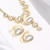 New Hot-selling Personalized Fashion Exaggerated Trend Necklace Earrings Combination, Jewelry Set