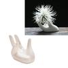 3Pcs Air Plant Holder Ceramics Airplants Holder Small Container Pots Hand Shape Office Desk Base Airplants Display Container