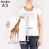 Art 420mm x Wall Wooden Stylish Interior Animal Panel, Painting, Decoration, igsticker, 297mm, A3, Photo, Hanging, Frame, Decor, 015867, Giraffe,