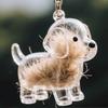 DIY Dog Fur Memory Keychain – Transparent Ball for Creating Personalized Pet Hair Keepsakes