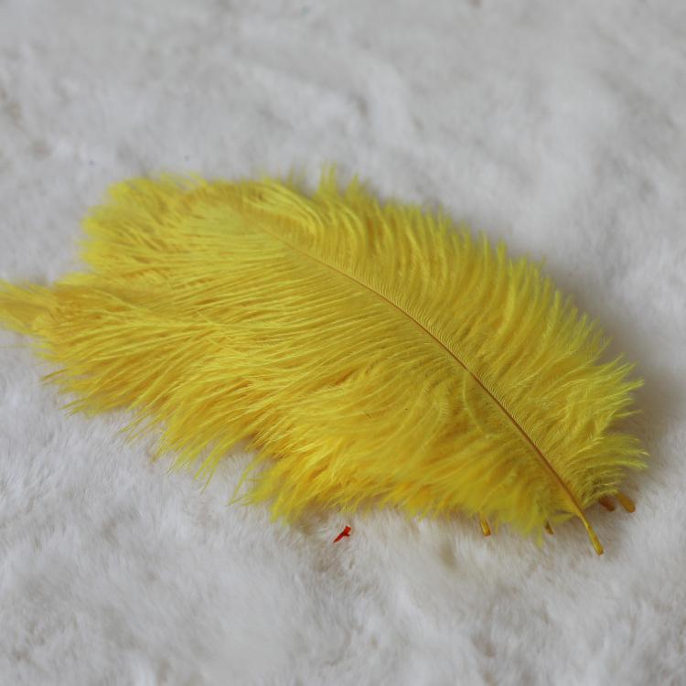 24 Colors 15-20Cm Ostrich Feather, Hotel Wedding Window Home Decoration Ostrich Feather