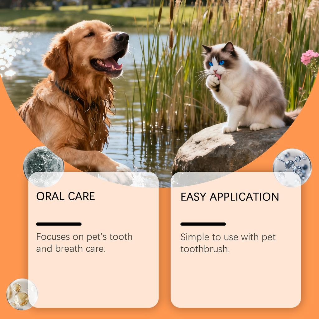 The Care Kit Contains A Three Sided Toothbrush And Natural Toothpaste To Reduce Plaque And Tartar Buildup