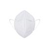CM 6005-1 KN95 Disposable Ear-loop Mask