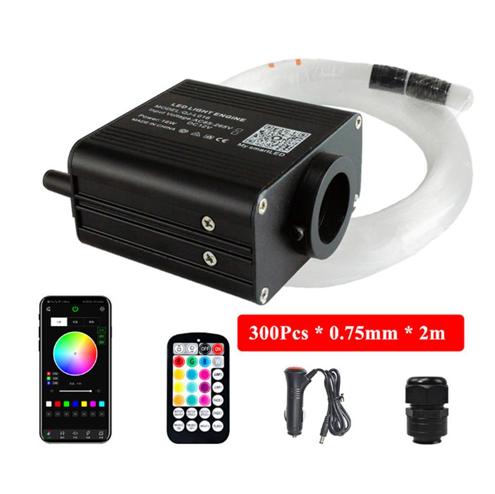 16W RGBW Twinkle Fiber Optic Car Home Headliner Starry Sky Ceiling Light Kit APP