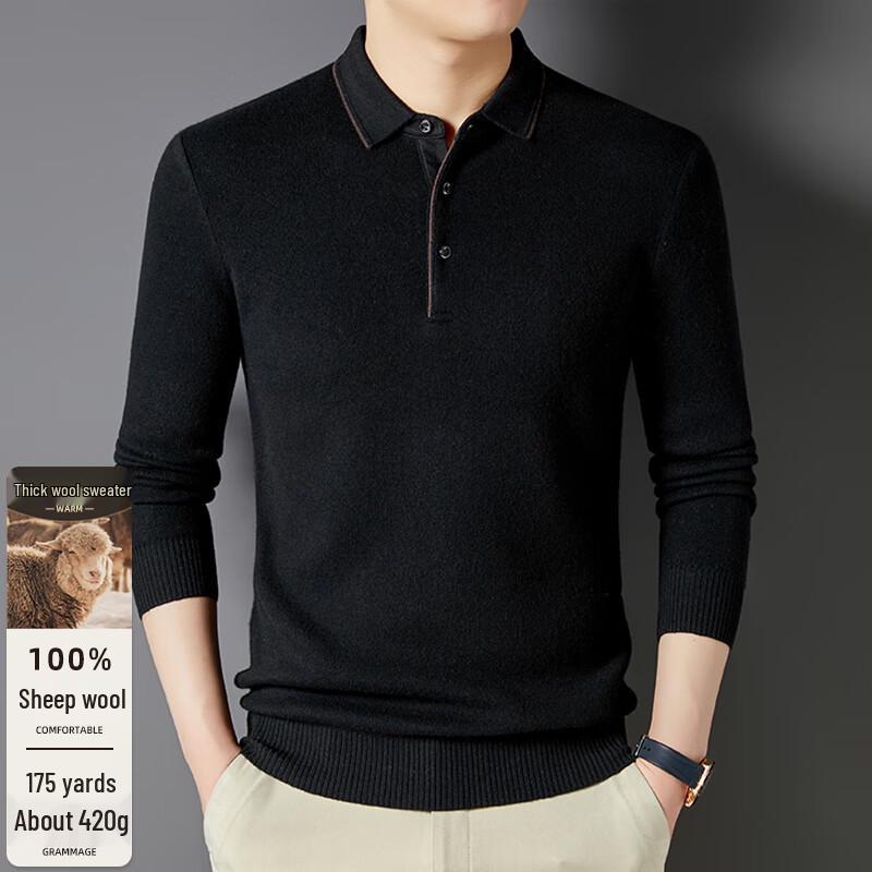 Men's 100% Merino Wool Thickened Turtleneck Sweater