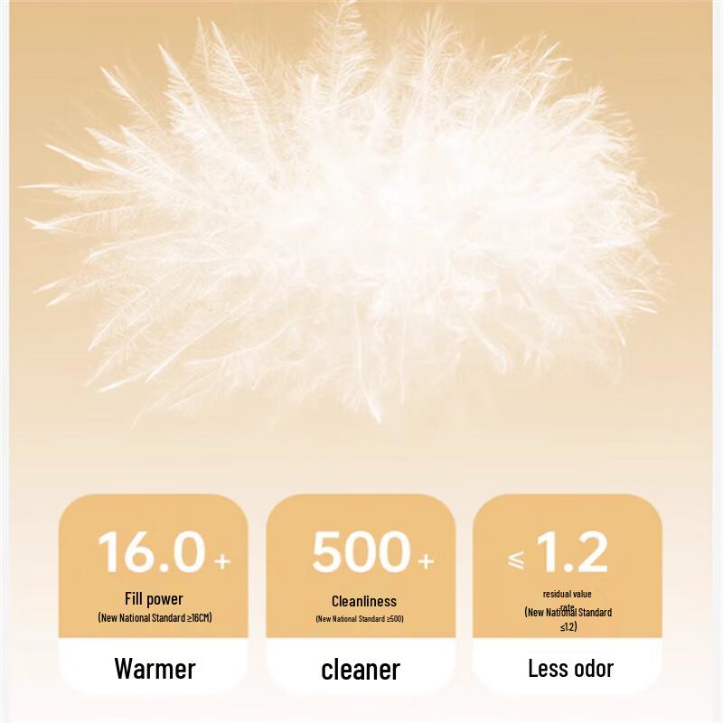 SNOWFLYING 2025 Lightweight Down Vest