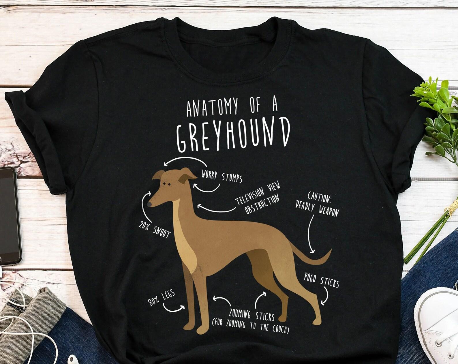 Greyhound Shirt, , , Funny Fawn Greyhound Lover Gift, Cute Dog T-shirt, Pet Tee, Dog Mom, Dog Dad, Animal Anatomy, Sighthound 110