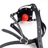 Silicone Ball Gag for Adults - K9 Mouth Plug Preventing Vomiting, Training Slave Mask Toy