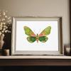 Watercolor Bug Butterflies Moths Poster Print Pastel Insect Canvas Painting Nature Wall Art Picture Nursery Kids Room Decor