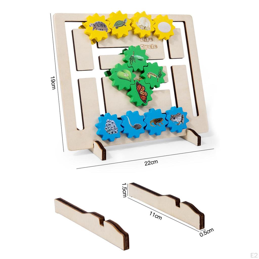 Sensory Toy Wooden Animals Life Growth Cycle Puzzle Educational Montessori for