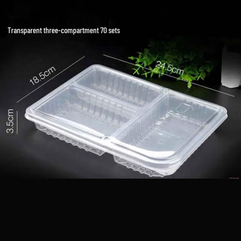 Disposable 3-Compartment Food Container
