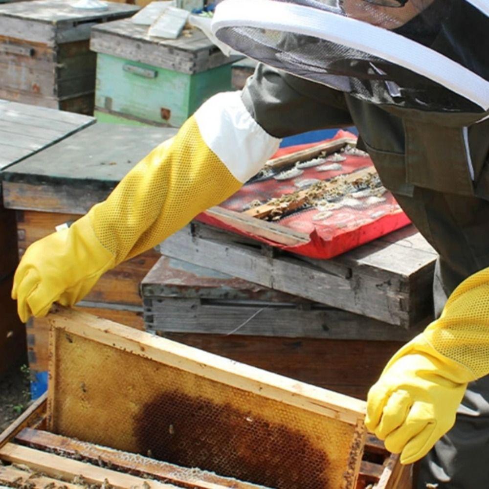 Atmungsaktive Netz-Bienenstockhandschuhe Leder Belüftete Handschuhe Langärmelige Handschuhe Professionelle Anwendung