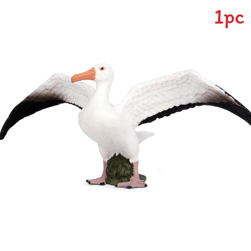 Albatross Sparrow Bird Habitat Model For Educational Gift For Children Albatross