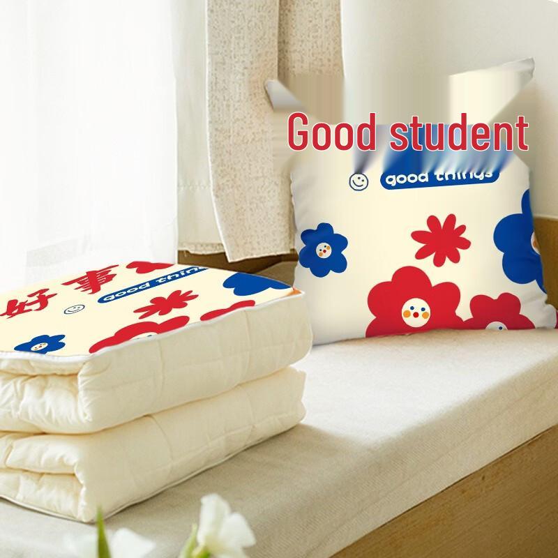 Prosperity Pillow Quilt 2-in-1