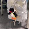 Süßer Pinguin Plüsch Schlüsselanhänger Niedliche Pinguin Puppe Anhänger Kreativer Tier Schlüsselanhänger Exquisite Rucksack Dekoration Umhängeband Geschenk