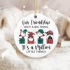 Friendship Ornament 2025 – Funny Best Friend Ornament, Gnome Gift Exchange – Our Friendship Isn’t a Big Thing, It’s a Million Little Things