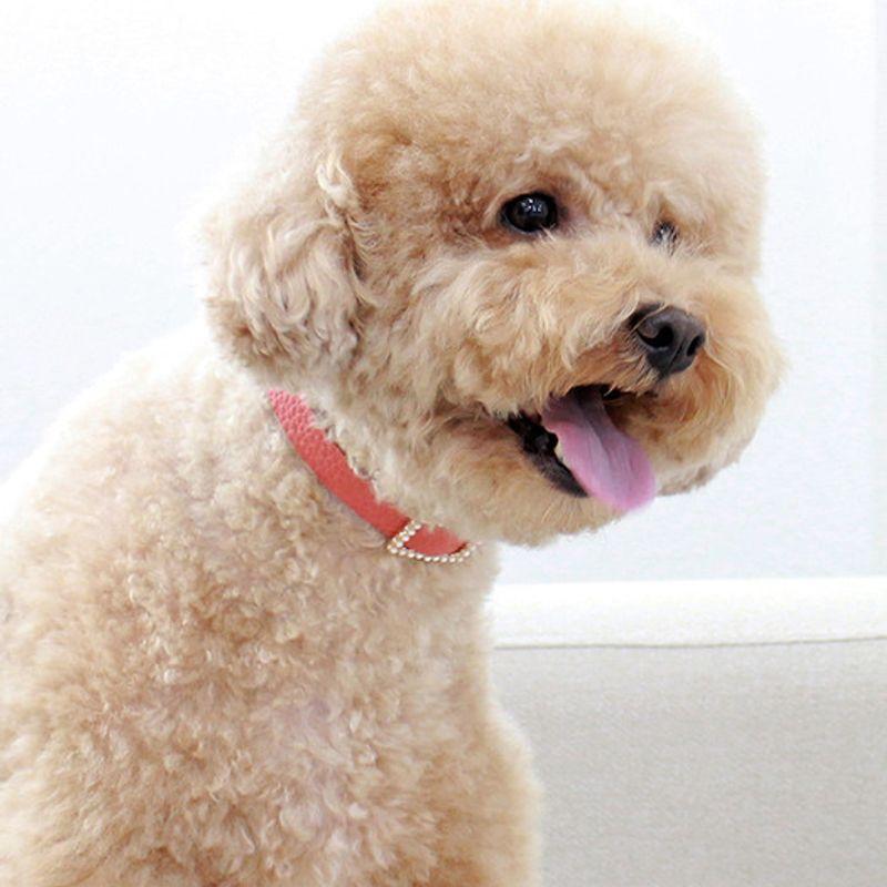 MAISON DE MIU Square Pearl Necklace in Coral