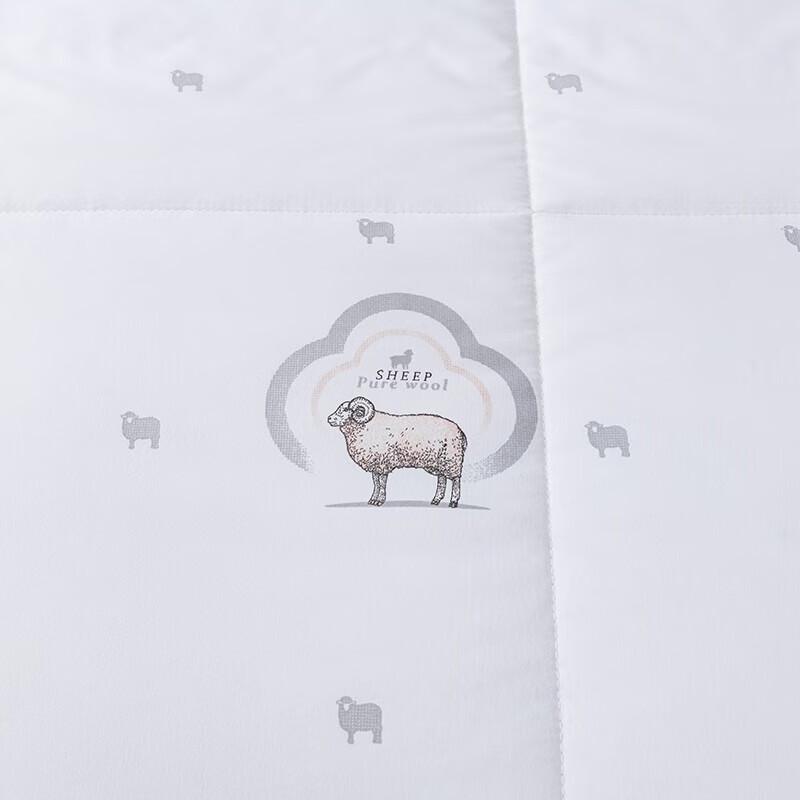 Fang'en TH-B1013 New Zealand Wool Duvet 200x230cm