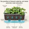 Maceta Transparente de Riego Automático para Plantas de Interior y Exterior Maceta de Plantación con Agujero de Drenaje Depósito Profundo Maceta para Hierbas y Flores con Cuerda de Mecha