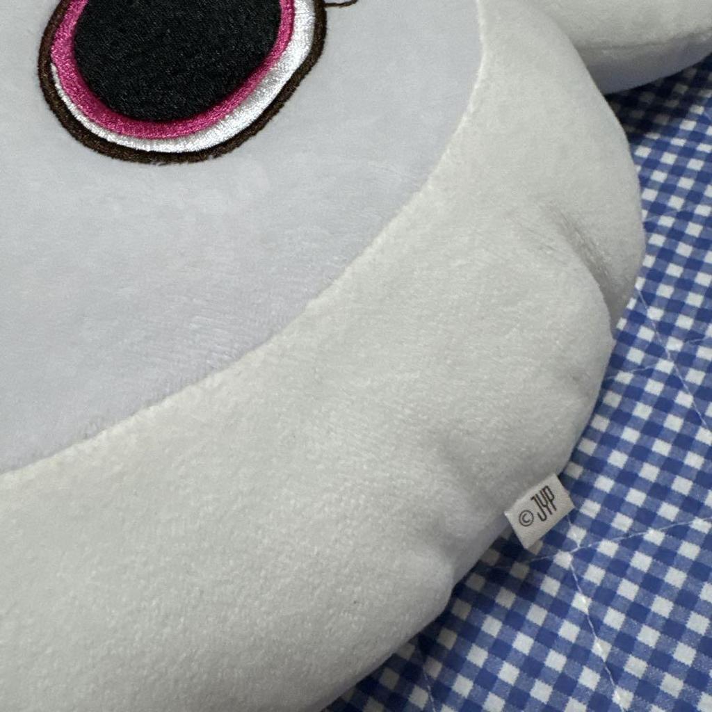 [USED] Twice Dahyun Double Cushion