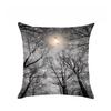 Hot Products, Tree, Night Sky, Pillowcase, Cushion Cover