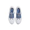 Nike Pegasus 40 Kentucky DZ5986-100