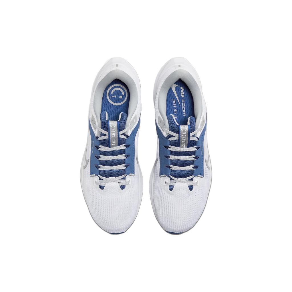 Nike Pegasus 40 Kentucky DZ5986-100