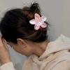 Hår accessories – Hårspenner
