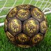 Prehistoric Dinosaur Scene Round Football Size 5 Adult Ball Suitable for Training Matches and Outdoor Team.