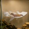 PLA Lizard Habitat Leaf Suction Cups Basking Rest Terrace  Reptile Basking Area