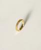 Neueblute Cycle Of The Moon Ring