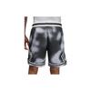 Jordan Sports Shorts Men's Black Moderate FB7576-070