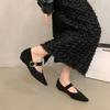 Wedge Heel Retro Pointed Head Shallow Mouth Single Shoes Women's Spring and Autumn Temperament with Skirt Commuting Mary Jane Shoes