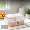 2Tier Plastic Dish Rack with Lid, Kitchen Countertop Organizer, Draining Cabinet