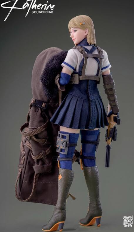 i8Toys POCKET COLLECTION Series KATHERINE Articulated Action and Full Set DX [AC] 1/12 Figure, Body, Head, Outfit, Accessories, (i8-72C323D Version)