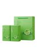 Green Tea Gift Box: Sealed Iron Can Set with Handbag, Large Square Half-Jin Capacity, Empty for Refill