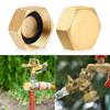 New 3/4" Garden Hose End Caps Brass With Washers Female Caps Cap Plug