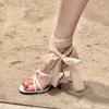 Fashion Summer New Mesh Cross Strap One Line Buckle Roman Sandals Women's Fine Heels Open Toe Temperament High Heels