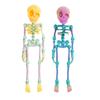Skull Fridge Magnets with Movable Joints Halloween Poseable Skeleton Fridge Magnet Quirky Gothic Refrigerator Stickers for Kitchen Office