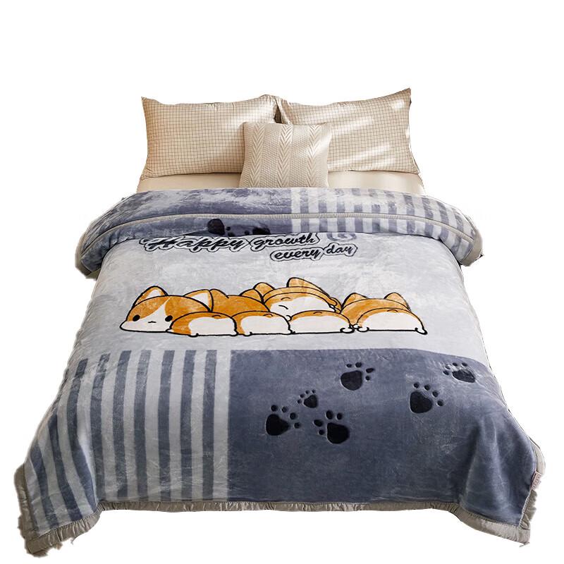 

Plover Corgi Pattern Raschel Blanket