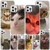 Pet Cat Funny Memes Phnoe Case for Iphone 17 Air 16 16E 11 12 13 Mini 14 Plus 15 Pro Max 7 8 + SE 2020 Phone Cover Coque
